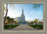 Boston Temple Spring Blossoms