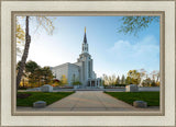 Boston Temple Spring Blossoms