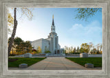 Boston Temple Spring Blossoms