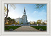 Boston Temple Spring Blossoms