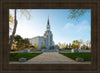 Boston Temple Spring Blossoms