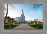 Boston Temple Spring Blossoms