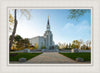 Boston Temple Spring Blossoms