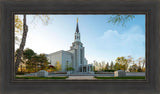 Boston Temple Spring Blossoms