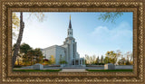 Boston Temple Spring Blossoms