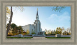 Boston Temple Spring Blossoms