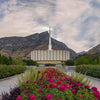 Provo Temple First Light