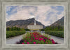 Provo Temple First Light