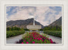 Provo Temple First Light