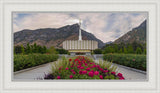 Provo Temple First Light