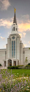 Boston Temple Summer Evening