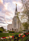 Boston Temple Spring Tulips