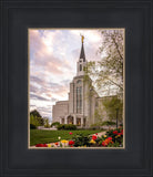 Boston Temple Spring Tulips