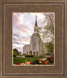 Boston Temple Spring Tulips