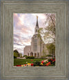 Boston Temple Spring Tulips