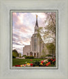 Boston Temple Spring Tulips