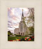 Boston Temple Spring Tulips