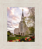 Boston Temple Spring Tulips