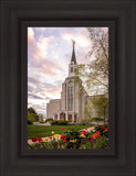 Boston Temple Spring Tulips