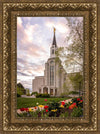 Boston Temple Spring Tulips