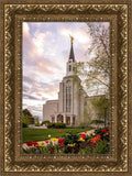 Boston Temple Spring Tulips