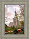 Boston Temple Spring Tulips