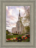 Boston Temple Spring Tulips