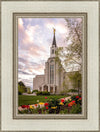 Boston Temple Spring Tulips