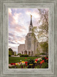 Boston Temple Spring Tulips