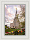 Boston Temple Spring Tulips