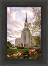 Boston Temple Spring Tulips