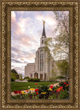 Boston Temple Spring Tulips