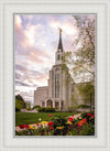 Boston Temple Spring Tulips