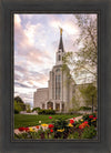 Boston Temple Spring Tulips