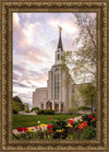 Boston Temple Spring Tulips