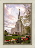 Boston Temple Spring Tulips