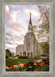 Boston Temple Spring Tulips