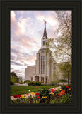 Boston Temple Spring Tulips