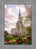 Boston Temple Spring Tulips