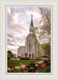 Boston Temple Spring Tulips