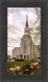 Boston Temple Spring Tulips