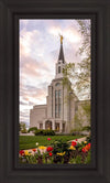 Boston Temple Spring Tulips