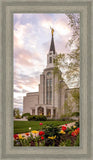 Boston Temple Spring Tulips