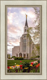 Boston Temple Spring Tulips