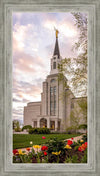 Boston Temple Spring Tulips