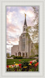 Boston Temple Spring Tulips