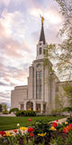 Boston Temple Spring Tulips