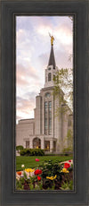 Boston Temple Spring Tulips