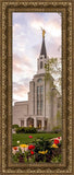 Boston Temple Spring Tulips