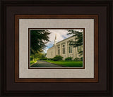 Boston Temple Trees Of Life Panoramic